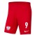 Nike komplet POLSKA Polski męski + nadruk S piłkarski Lewandowski