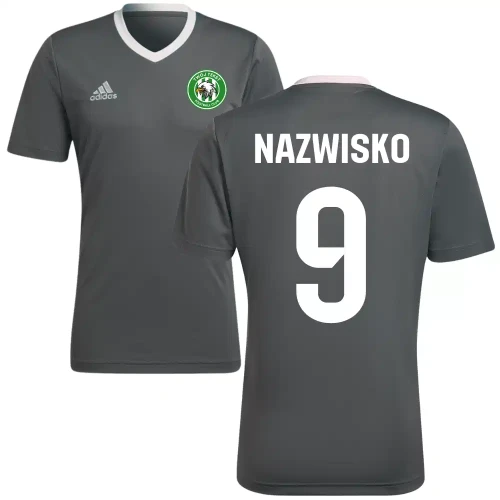 Koszulka-piłkarska-Adidas-z-własnym-nadrukiem-personalizowana (3).webp