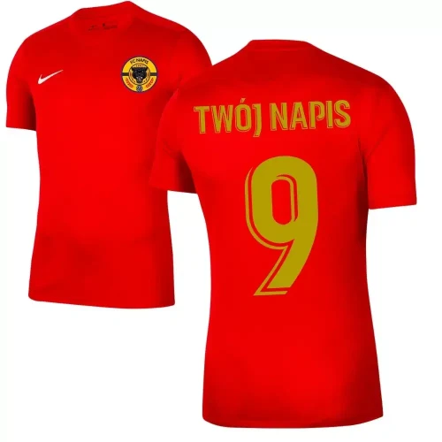 Nike-koszulka-piłkarska-z-własnym-nadrukiem-personalizowana (8).webp